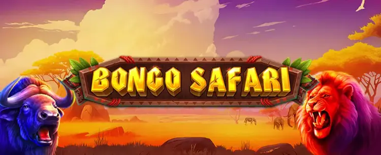 Bongo Safari
