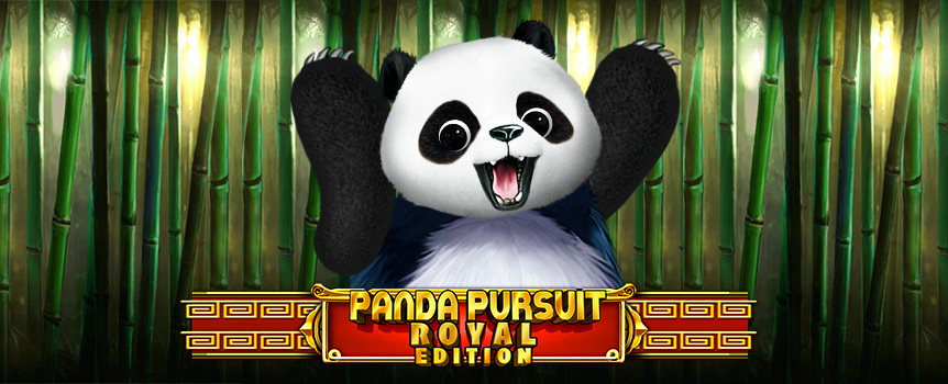 This is one for anybody that just loved playing Panda Pursuit, but always wanted even more!
