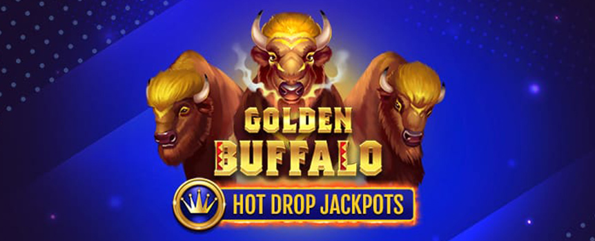 The buffalo is a legendary animal in the old western plains; the Golden Buffalo is a legendary slot machine ready to reward you with majestic riches!

