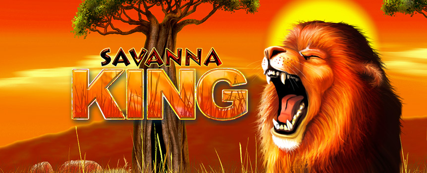 Do you miss beautiful landscapes and sunsets that will melt into the horizon? Get a taste of the African savanna with the Savanna King online slot. This video slot gives players 1024 ways to win and boasts five reels