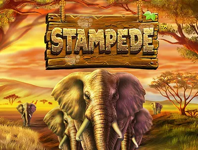 Stampede