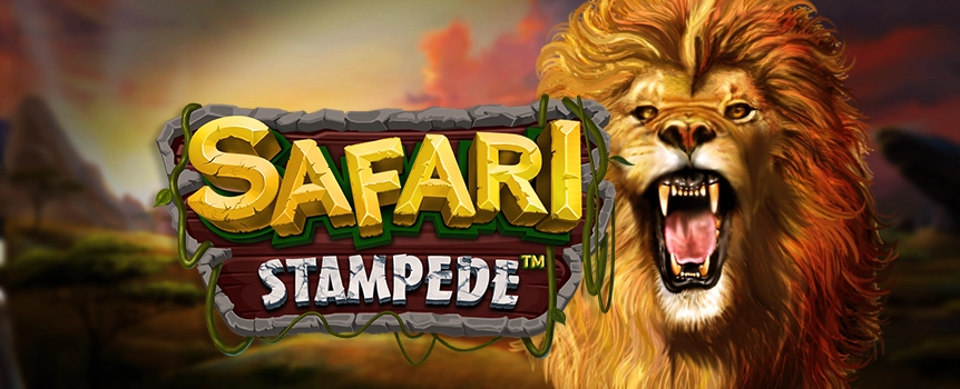 Experience the untamed beauty of Safari Stampede at Cafe Casino. Win up to 12 free spins, enjoy expanding wilds, multipliers - and win thousands per spin!

