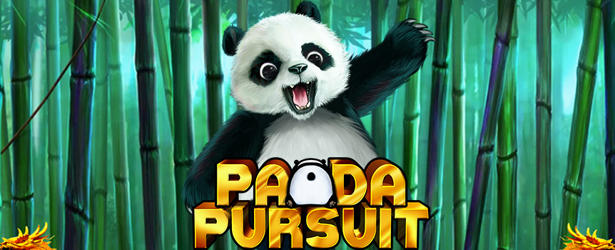 Transport yourself directly to the home of the happiest Panda on earth, with Panda Pursuit, the 4 Row, 5 Reel and 1,024 ways slot that celebrates this majestic, cute, happy, and above all, generous little creature!

