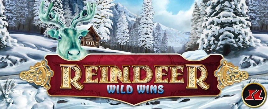Join the beautiful huntresses in their annual hunt for Reindeer under the majestic hue of the Northern Lights. Reindeer Wild Wins XL is a new and improved evolution of the classic Reindeer Hunting slot, Reindeer Wild Wins and offers and even bigger Payouts!
