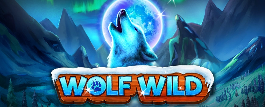 If you’d like the chance to explore the wilderness in winter snow that’s overrun by wild wolves, Wolf Wild is perfect for you. 