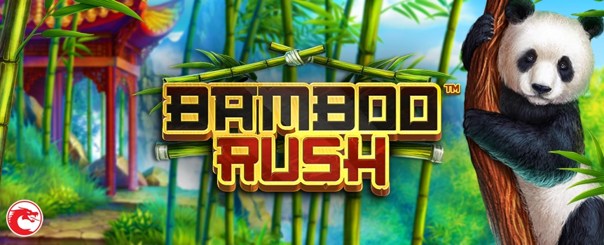 Café Casino brings you Bamboo Rush, a slot experience filled with Wild Multipliers, Free Spins, and the chance for epic wins up to 53,000x!