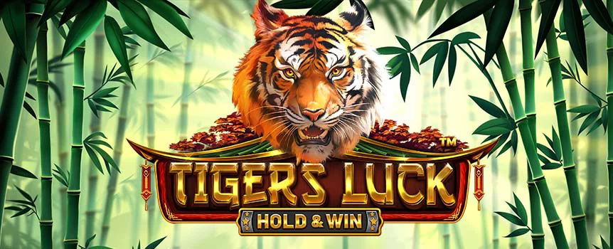 The powerful tiger is meant to bring good and plentiful fortune, and you can find out yourself by playing the Tigers Luck online slot game at Cafe Casino.