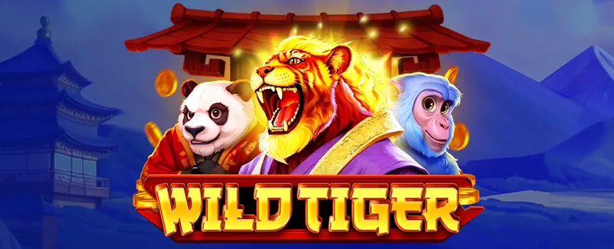 Spin the reels of the Chinese-themed Wild Tiger online slot today at Cafe Casino and see if you can win the big top prize of an impressive 3,000x your bet.