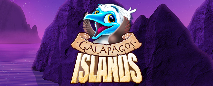 The Galapagos Islands are an extremely Volcanic group of Islands that can Erupt with colossal Prizes at any moment so take a trip to this epic Archipelago today for your chance to trigger some enormous Payouts! 