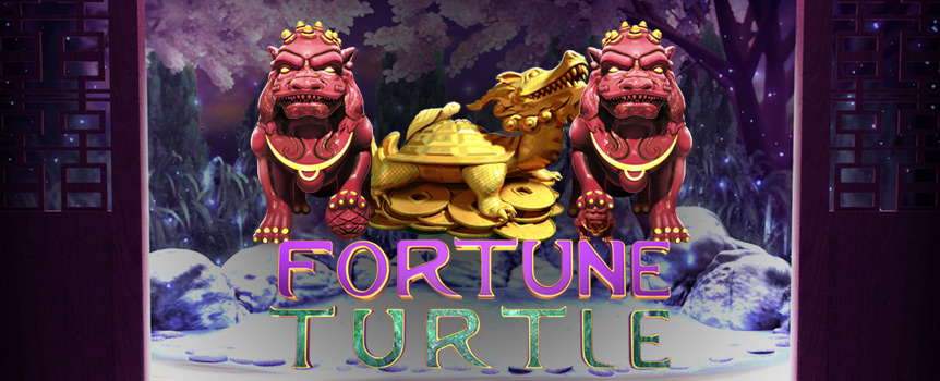 Fortune Turtle is a slot for anyone that is a fan of the mysterious. 