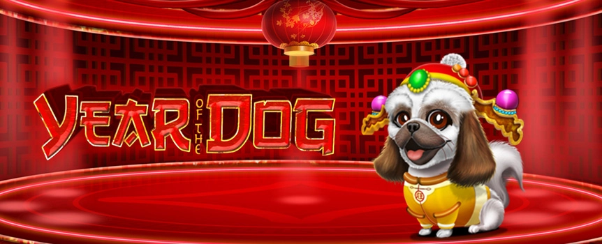 Do you enjoy Chinese slots? Are you a Dog lover? Do you like huge Payouts? Of course you do - and Year of the Dog features all of that and more! 