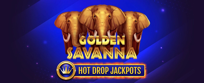 When you spin the Reels on Golden Savanna Hot Drop Jackpots you’ll be transported to the African Savanna home to gigantic Wild Animals and even larger Payouts up to 3,125x your stake! 