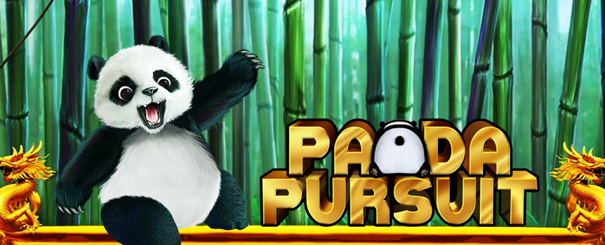 Transport yourself directly to the home of the happiest Panda on earth, with Panda Pursuit, the 4 Row, 5 Reel and 1,024 ways slot that celebrates this majestic, cute, happy, and above all, generous little creature!

