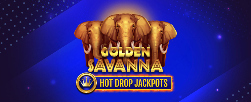 When you spin the Reels on Golden Savanna Hot Drop Jackpots you’ll be transported to the African Savanna home to gigantic Wild Animals and even larger Payouts up to 3,125x your stake! 