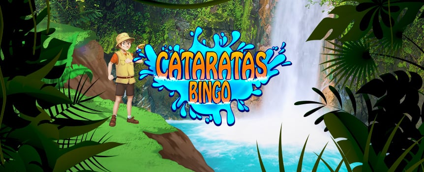 Play Bingo Online: Play New Bingo Games at Cafe casino