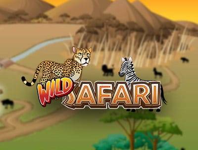 Wild Safari