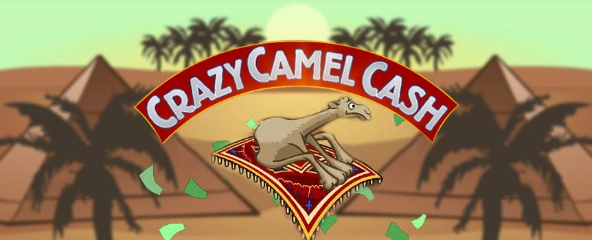 Saddle up your camel and brace yourself for the craziest, most adventurous camel ride you’ve ever taken in Crazy Camel Cash, a 3-reel slot game that brings these desert creatures to the reels like you’ve never seen them before. Traverse the burning hot desert landscape, with ancient pyramids dotting the horizon and a few friendly locals ready to offer shade and water should you need it. Just keep an eye out for the camels, because in this game cash follows camels everywhere they go. With the Wild Multiplier Symbol feature, you’ll be triggering the maximum payout in this game, with a bit of luck and help from your camel friends.