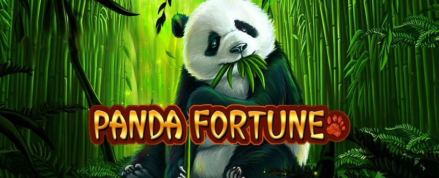 What could be better than the warm, cuddly embrace of a huge bumbling Panda? How about the warm, cuddly embrace of a huge, bumbling Panda that is offering even huger Prizes!

