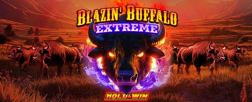 Saddle up for Blazin’ Buffalo. Chase 2x moon Wilds, Free Spins up to 50, and a Find-the-Buffalo Bonus.