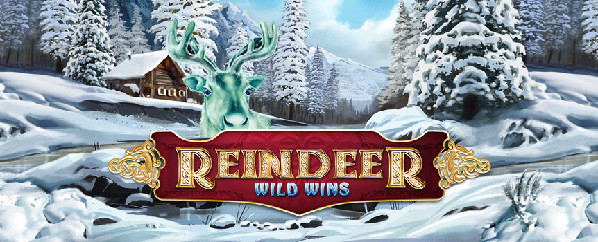 
These fierce and ruthless female Huntresses formally invite you to join them in their annual Reindeer Hunt underneath the beautiful illumination of the Northern Lights. 
