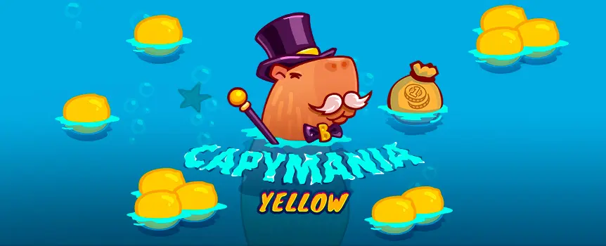 The Capymania Yellow online scratchcard is available at Cafe Casino, and if you want an instant win game that pays up to 100,000x your bet, check it out today!