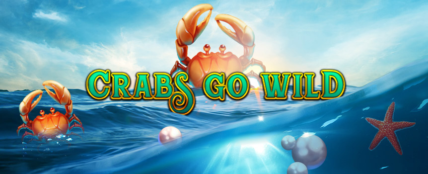 It's time to hang down by the sea ...  where the Crabs Go Wild!